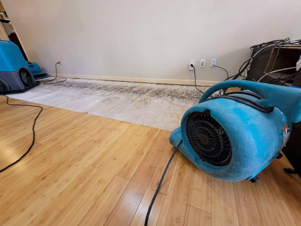 Professional Sewage Cleanup technician working in Hampton, NJ